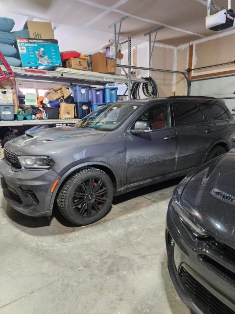 1000008875 (002).jpg