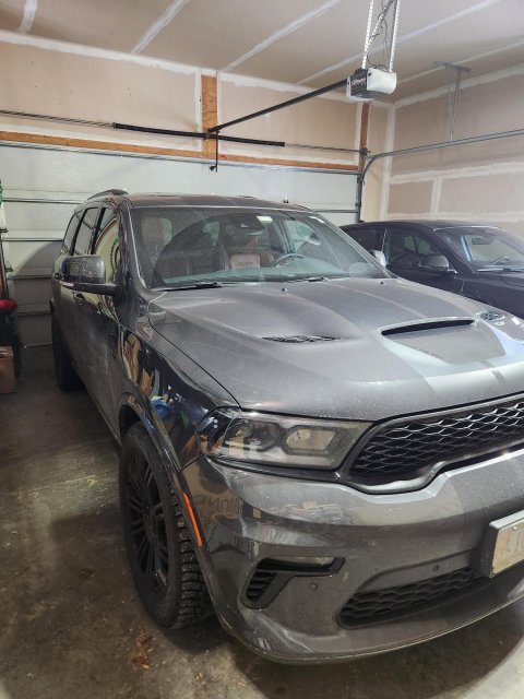 1000008876 (002).jpg