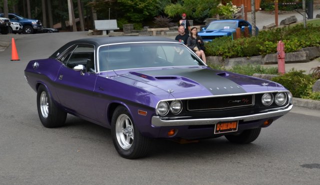 70 Sunbust 2019 (2).jpg