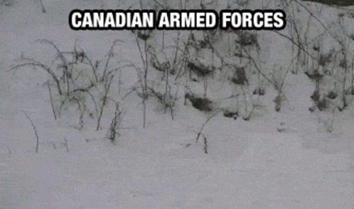 canadian armed forces.gif